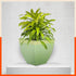 MYLA Metal Square Planters / Pots for Garden / Balcony | Medium – Tree & Lawn
